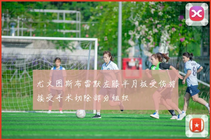 尤文图斯布雷默左膝半月板受伤将接受手术切除部分组织